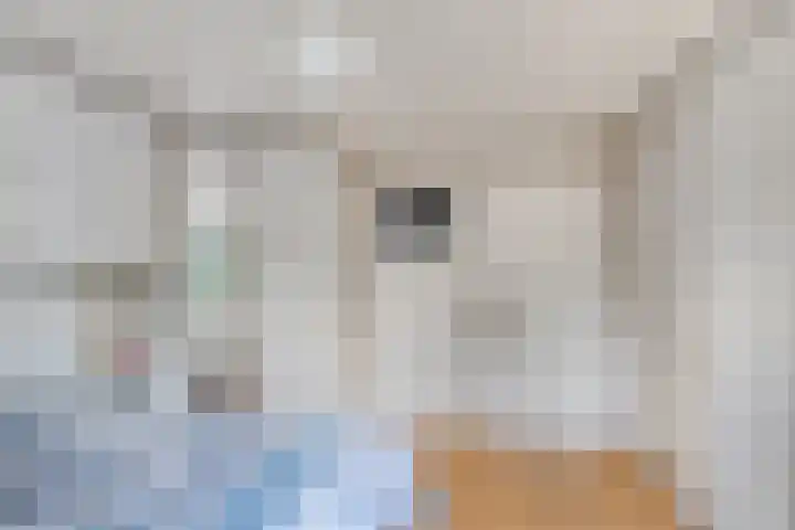 Dalkruiddreef 27 Nuenen thumbnail 24
