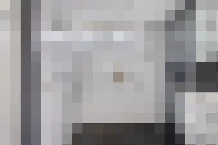 Dalkruiddreef 27 Nuenen thumbnail 26