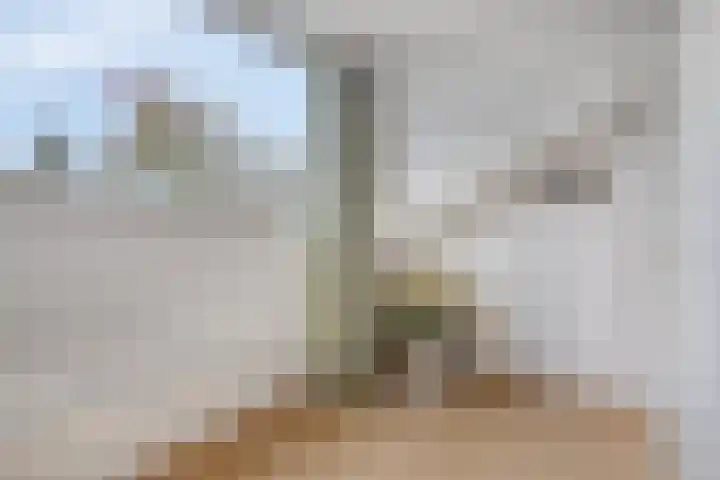 Dalkruiddreef 27 Nuenen thumbnail 30
