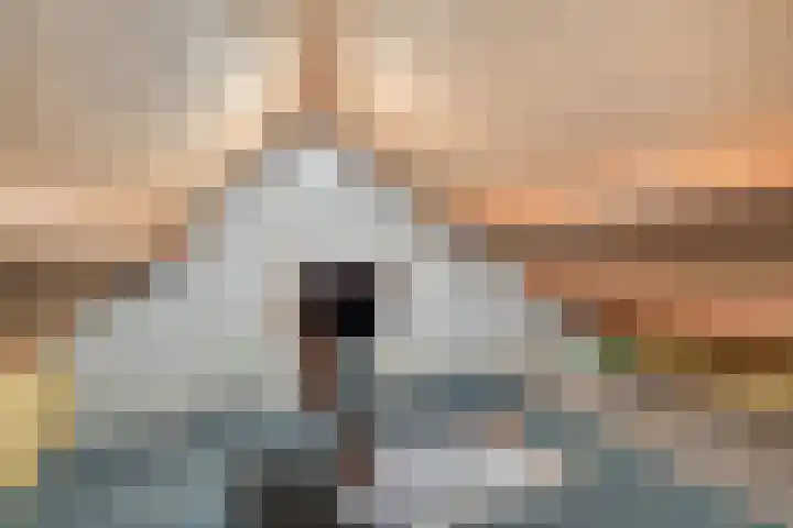 Dalkruiddreef 27 Nuenen thumbnail 33