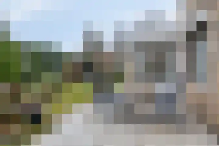 Dalkruiddreef 27 Nuenen thumbnail 35