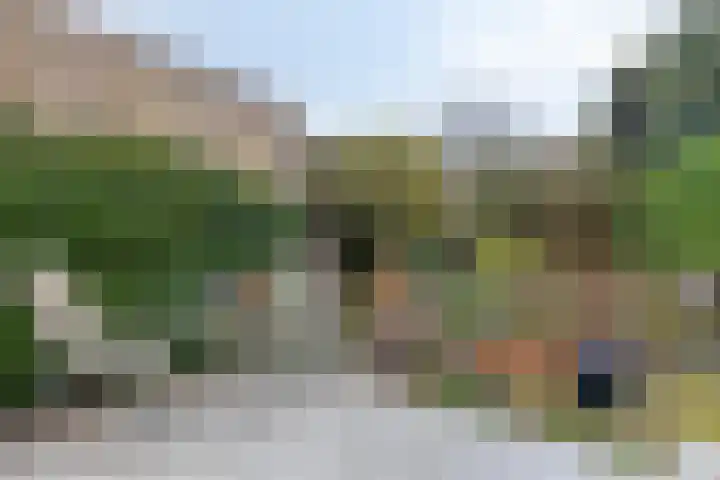 Dalkruiddreef 27 Nuenen thumbnail 36