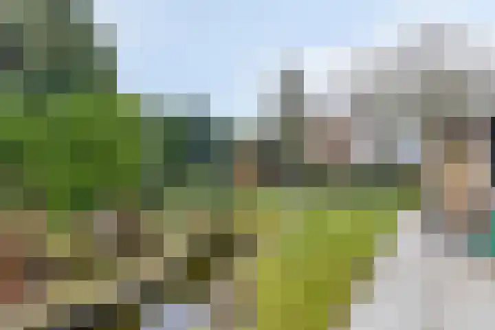 Dalkruiddreef 27 Nuenen thumbnail 37