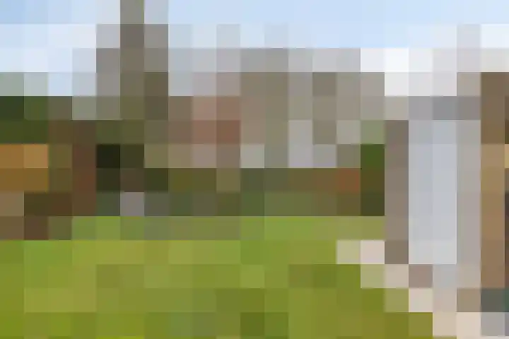 Dalkruiddreef 27 Nuenen thumbnail 38
