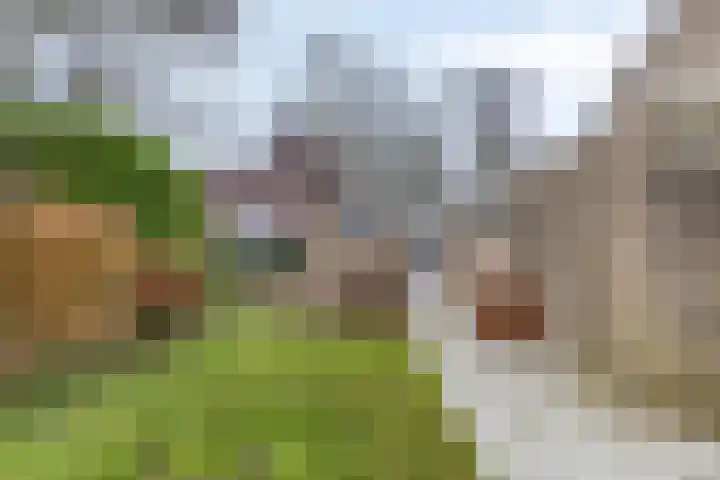 Dalkruiddreef 27 Nuenen thumbnail 39