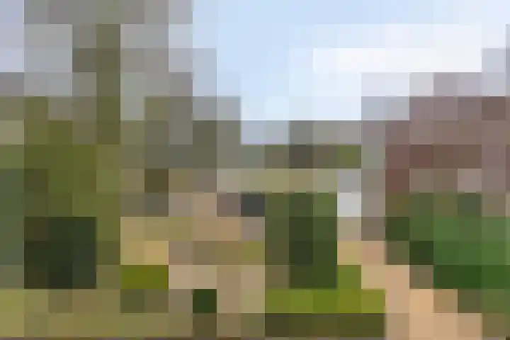 Dalkruiddreef 27 Nuenen thumbnail 4