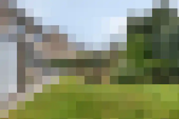 Dalkruiddreef 27 Nuenen thumbnail 40