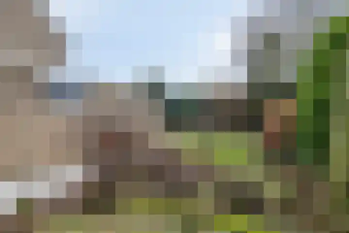 Dalkruiddreef 27 Nuenen thumbnail 41
