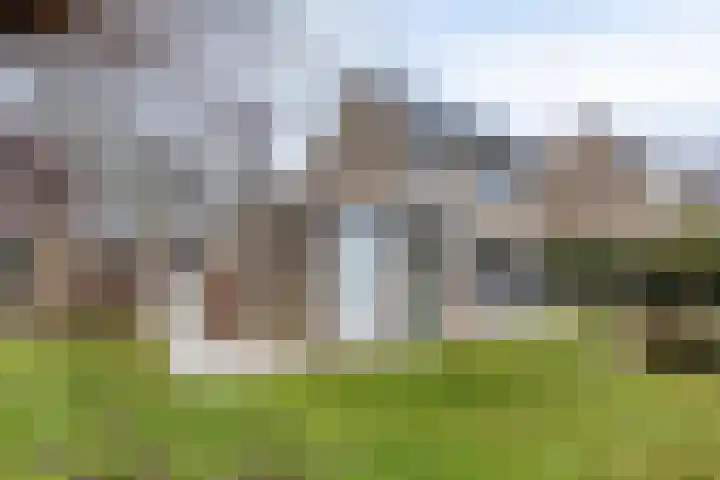Dalkruiddreef 27 Nuenen thumbnail 42