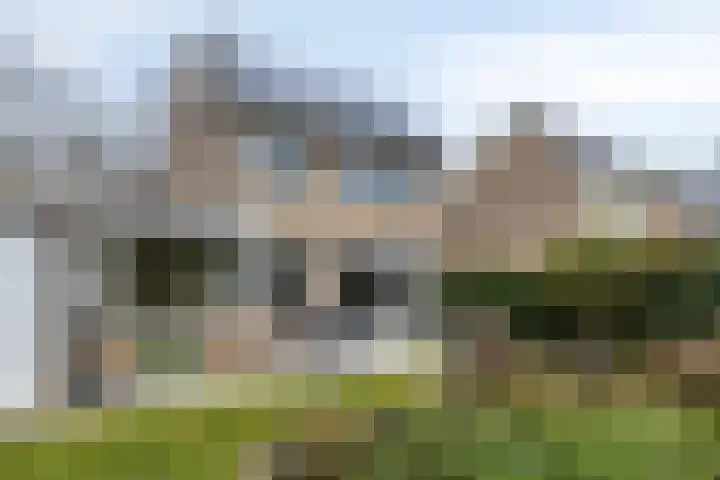 Dalkruiddreef 27 Nuenen thumbnail 43
