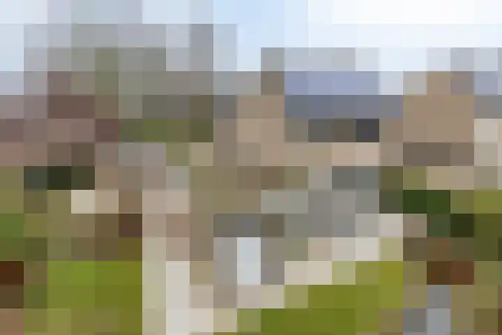 Dalkruiddreef 27 Nuenen thumbnail 44