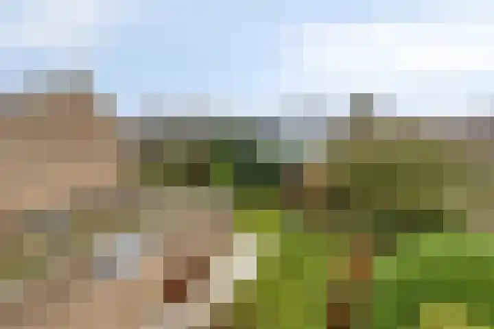 Dalkruiddreef 27 Nuenen thumbnail 45