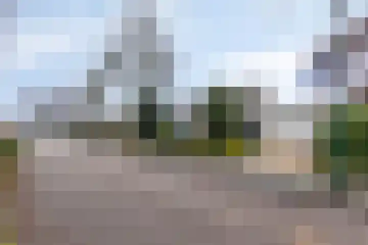 Dalkruiddreef 27 Nuenen thumbnail 46