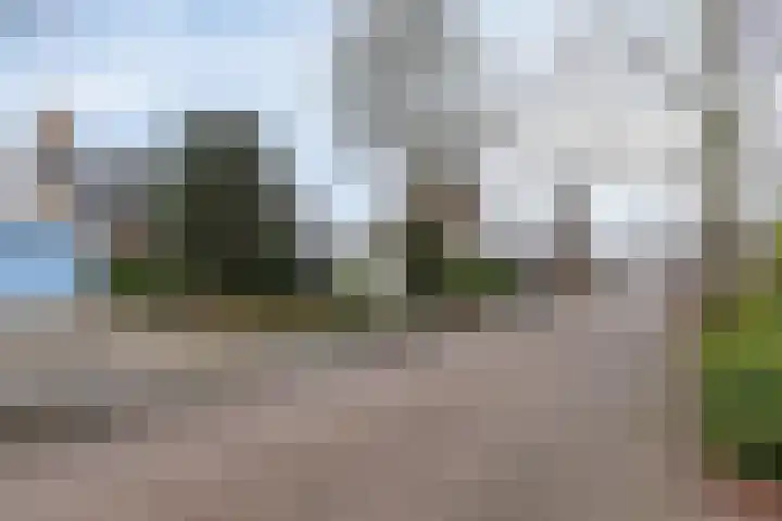 Dalkruiddreef 27 Nuenen thumbnail 47