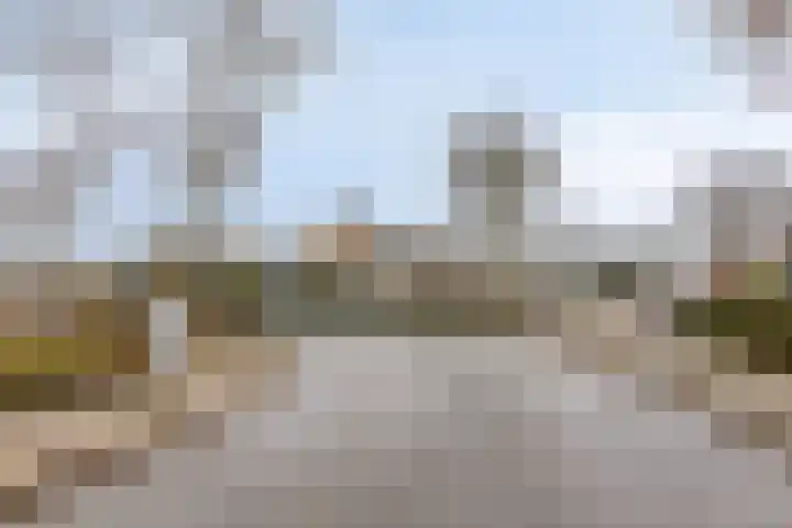 Dalkruiddreef 27 Nuenen thumbnail 48