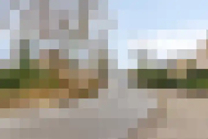 Dalkruiddreef 27 Nuenen thumbnail 49