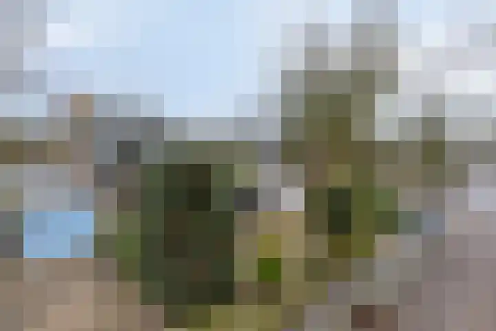 Dalkruiddreef 27 Nuenen thumbnail 5