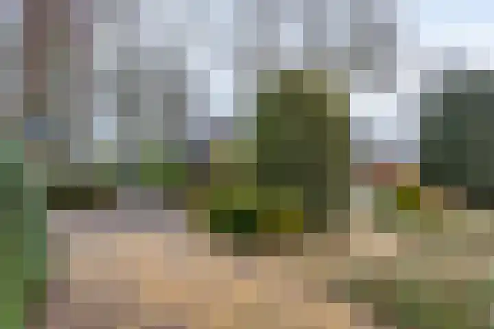 Dalkruiddreef 27 Nuenen thumbnail 6