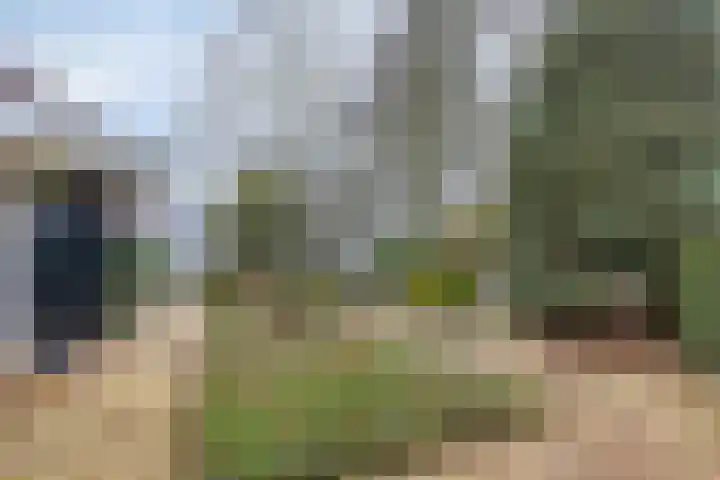 Dalkruiddreef 27 Nuenen thumbnail 7