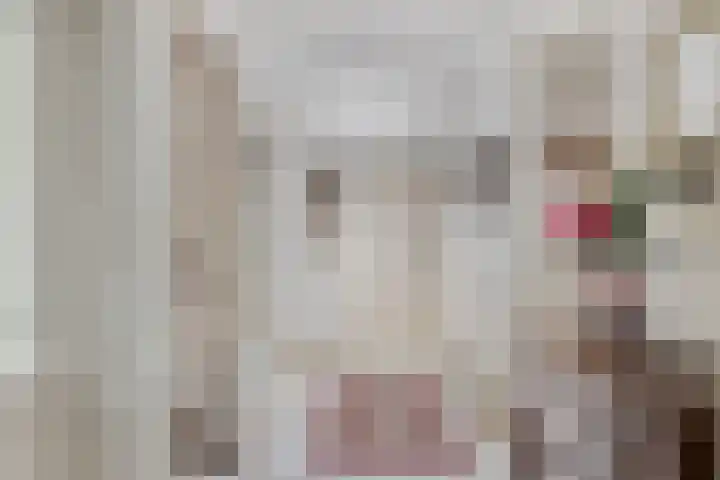 Dalkruiddreef 27 Nuenen thumbnail 9
