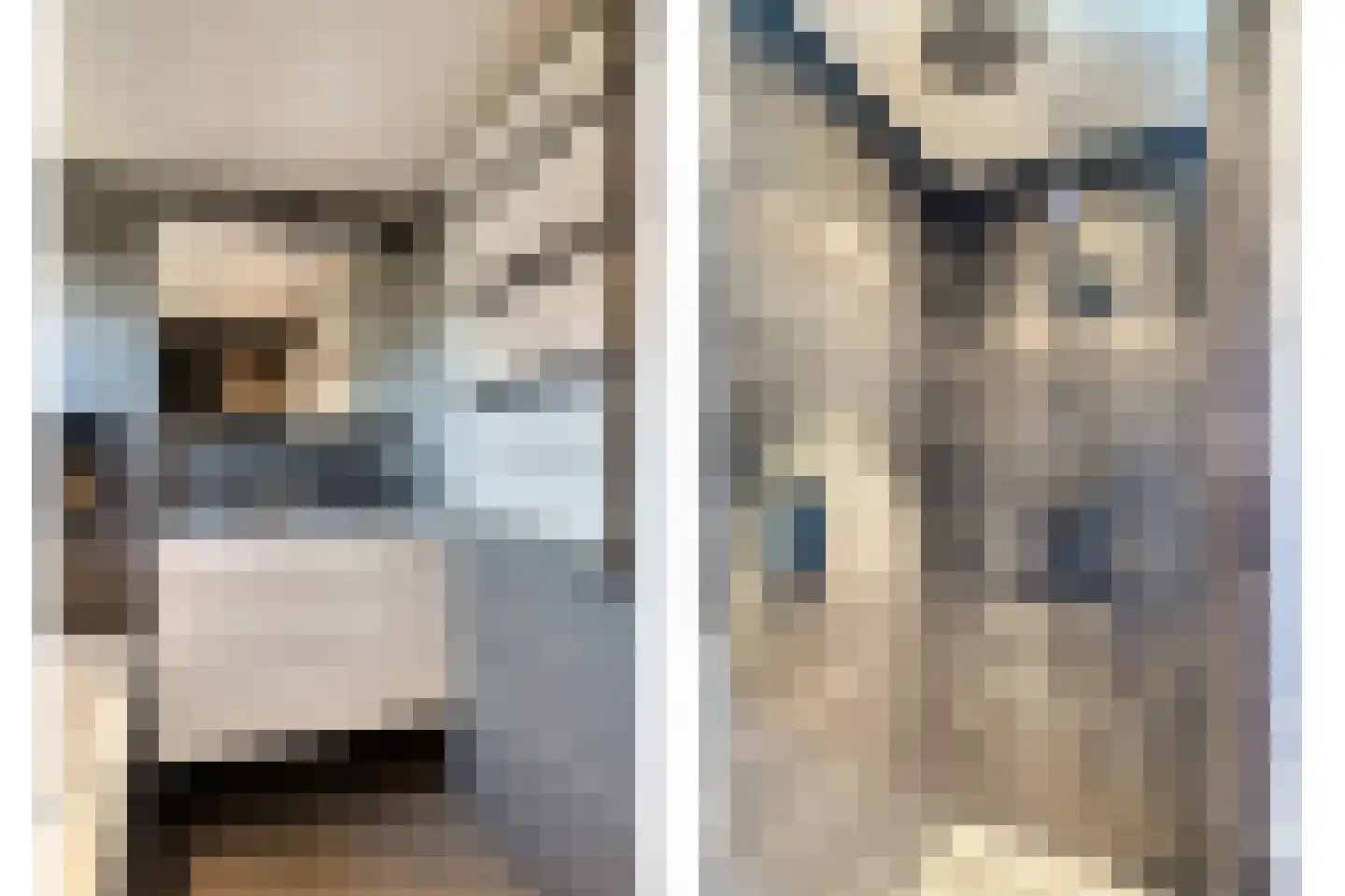 Dalkruiddreef 3 Nuenen thumbnail 28
