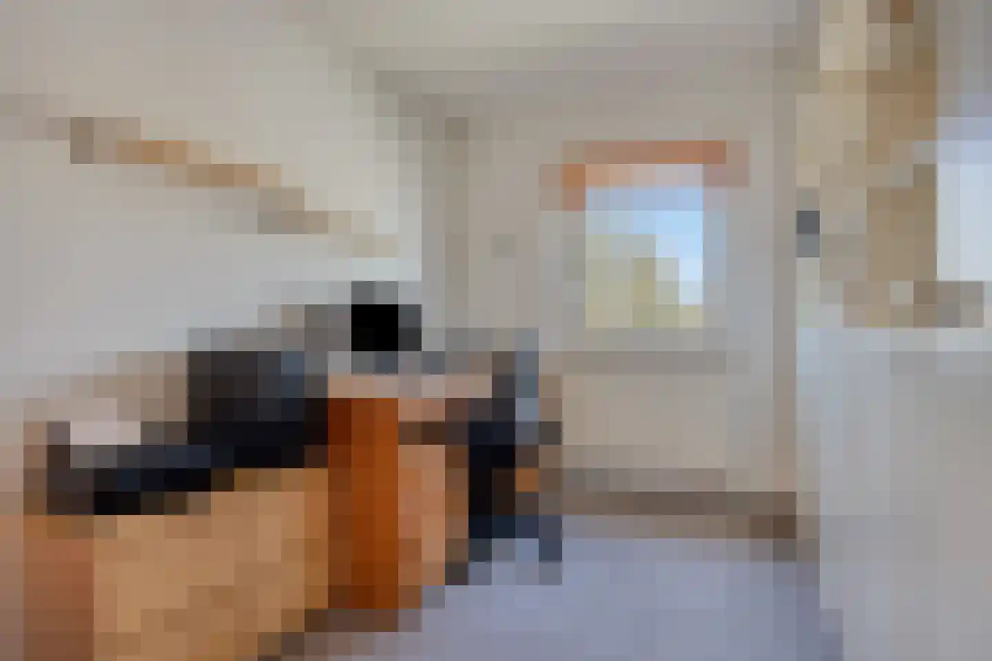 Dalkruiddreef 3 Nuenen thumbnail 31