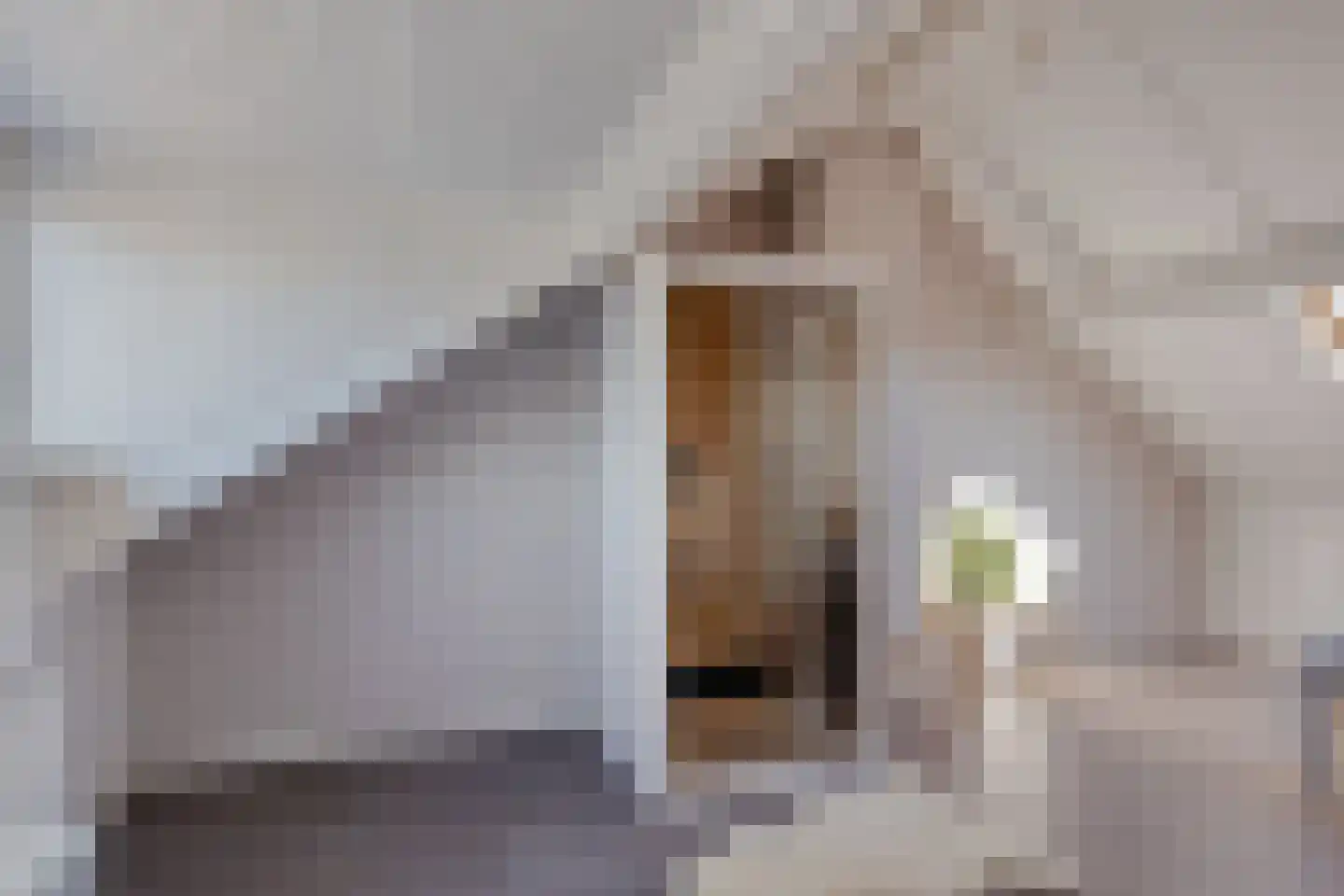 Dalkruiddreef 3 Nuenen thumbnail 37