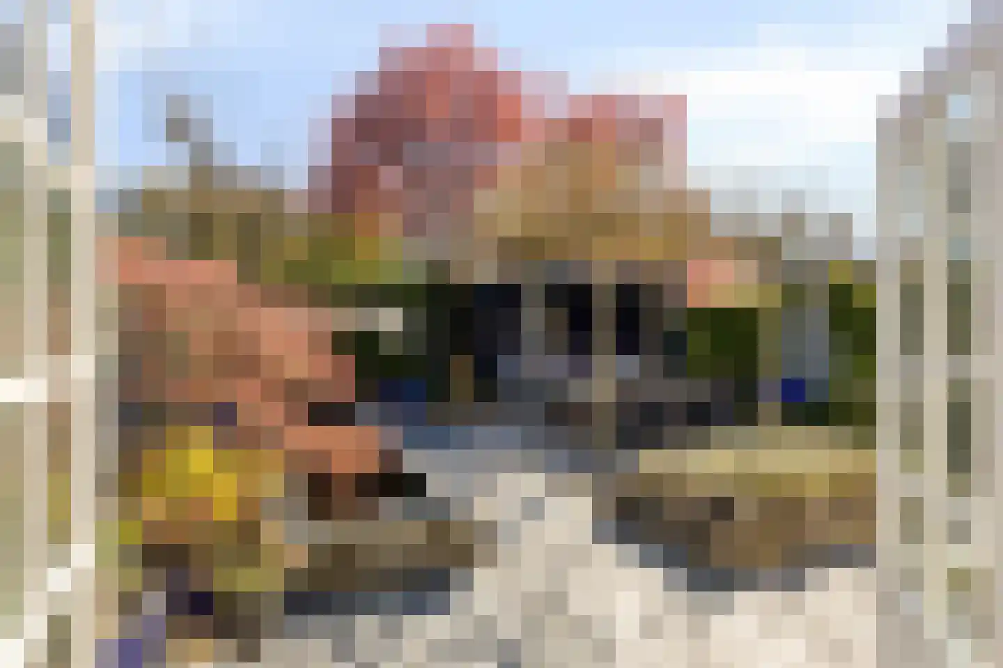 Dalkruiddreef 3 Nuenen thumbnail 38