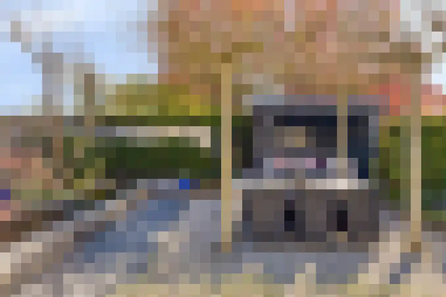 Dalkruiddreef 3 Nuenen thumbnail 40