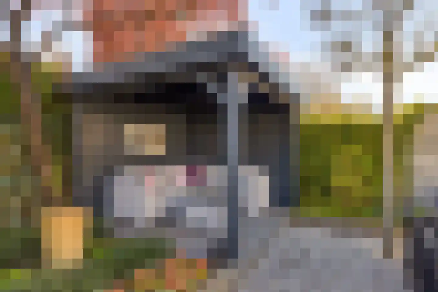 Dalkruiddreef 3 Nuenen thumbnail 41
