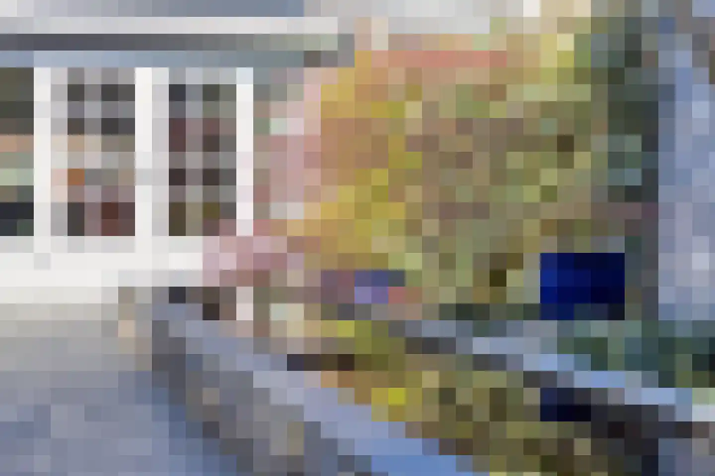 Dalkruiddreef 3 Nuenen thumbnail 45