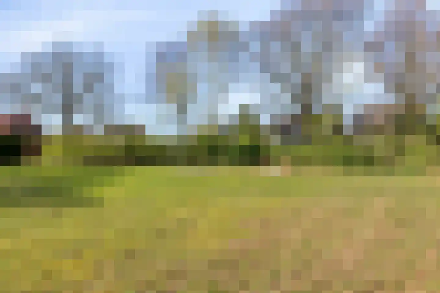 Dalkruiddreef 3 Nuenen thumbnail 51