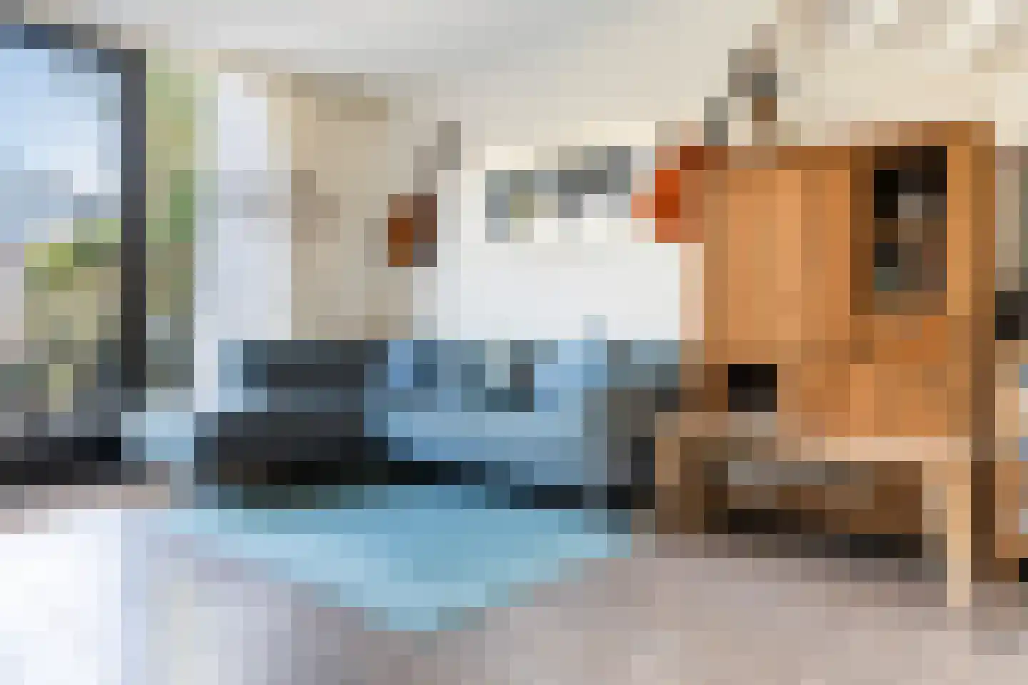 Dalkruidstraat 15 Rotterdam thumbnail 12
