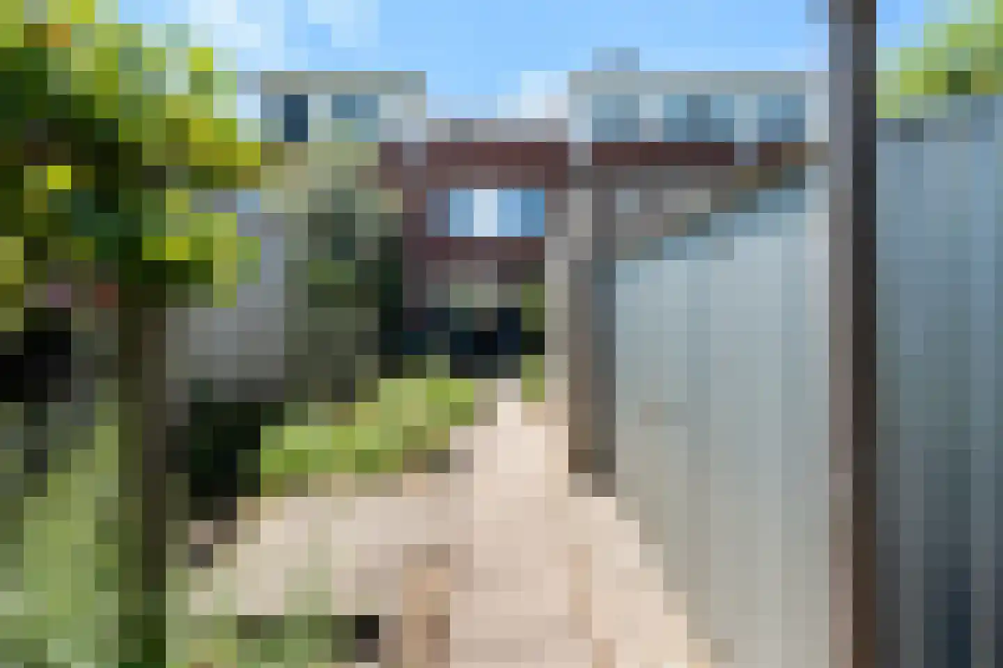 Dalkruidstraat 15 Rotterdam thumbnail 21