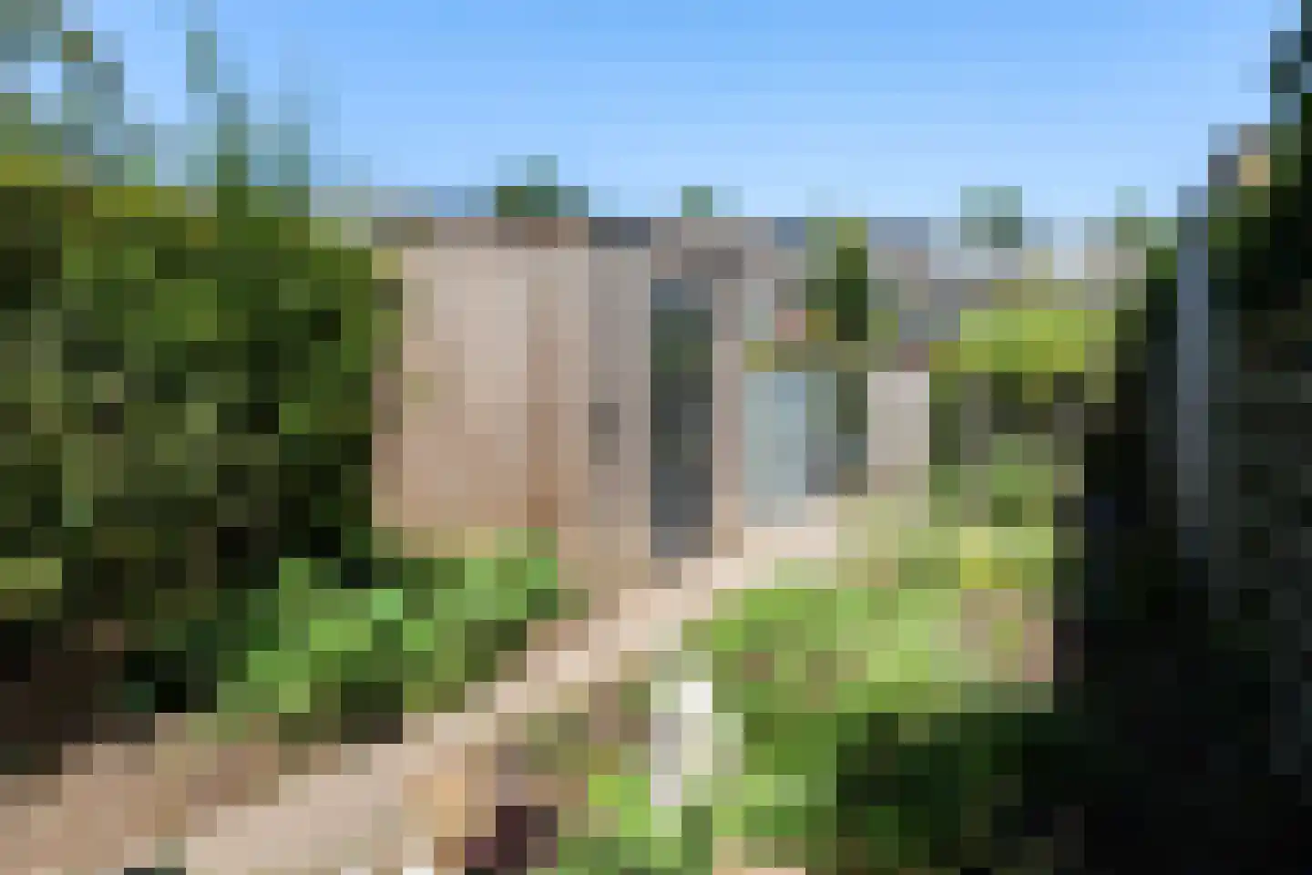 Dalkruidstraat 15 Rotterdam thumbnail 22