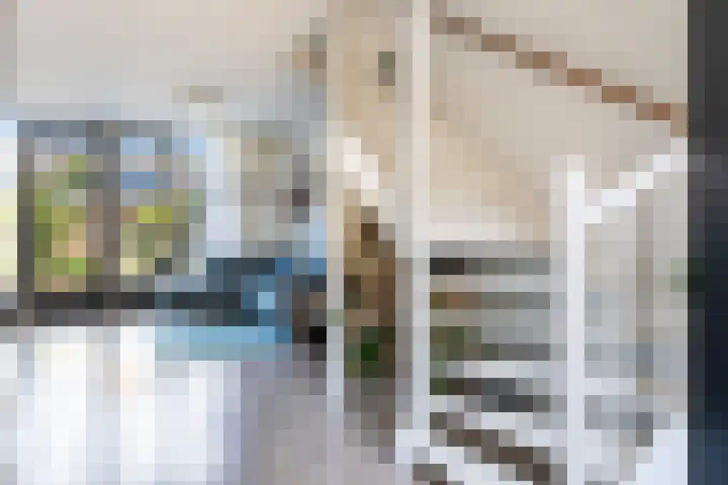 Dalkruidstraat 15 Rotterdam thumbnail 29
