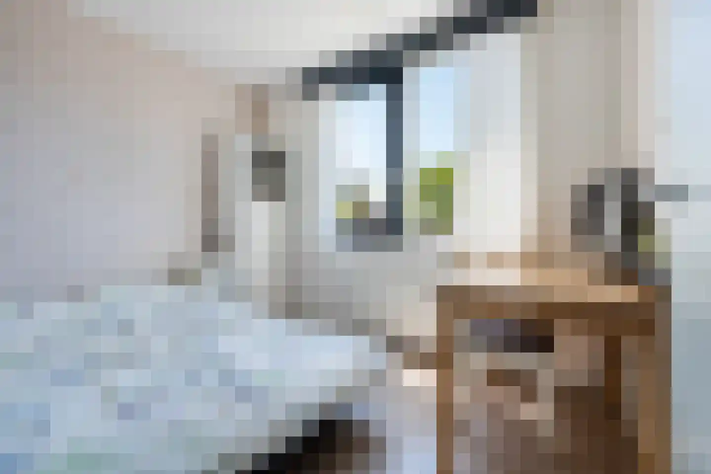 Dalkruidstraat 15 Rotterdam thumbnail 36