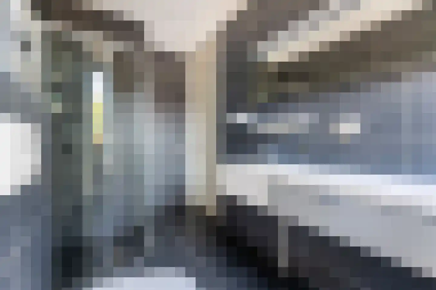 Dalkruidstraat 15 Rotterdam thumbnail 40