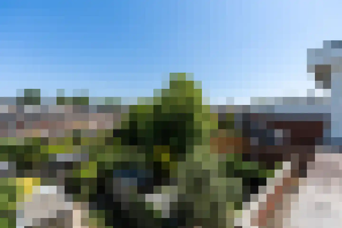 Dalkruidstraat 15 Rotterdam thumbnail 55