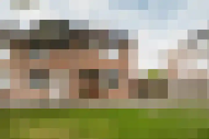 Dallelaan 2 Spijkenisse thumbnail 10