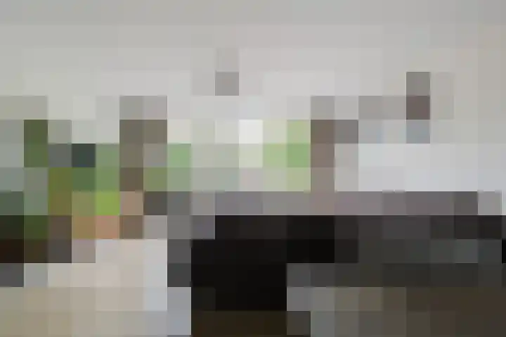 Dallelaan 2 Spijkenisse thumbnail 13