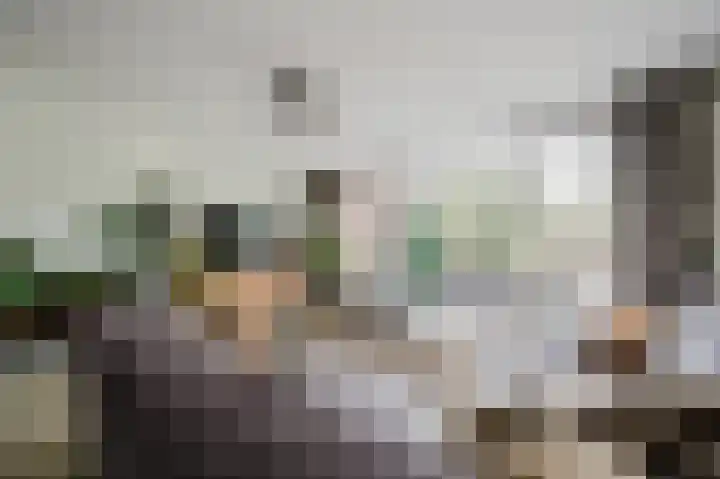 Dallelaan 2 Spijkenisse thumbnail 14