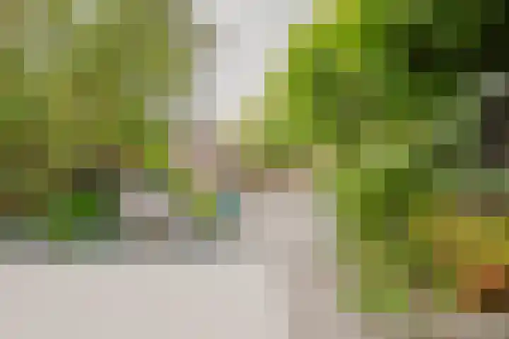 Dallelaan 2 Spijkenisse thumbnail 15