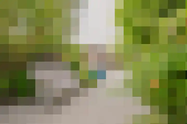 Dallelaan 2 Spijkenisse thumbnail 16