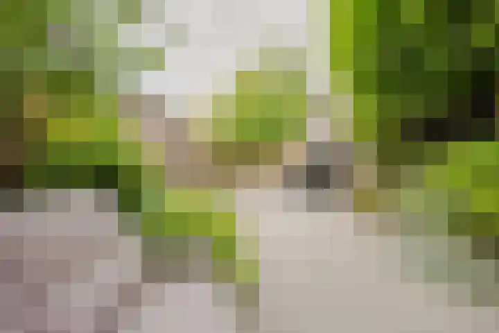 Dallelaan 2 Spijkenisse thumbnail 17