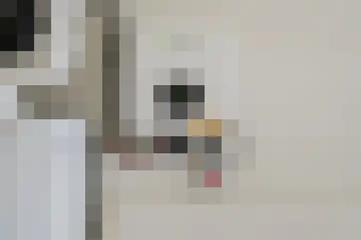 Dallelaan 2 Spijkenisse thumbnail 29