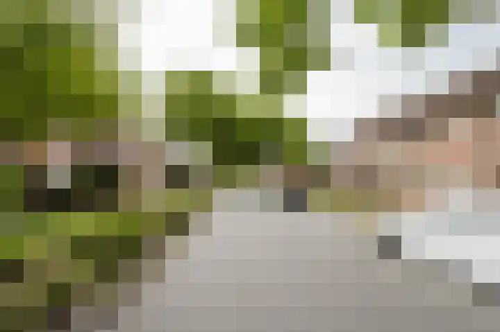 Dallelaan 2 Spijkenisse thumbnail 33
