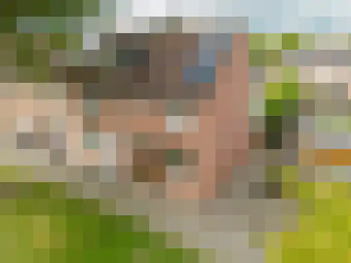 Dallelaan 2 Spijkenisse thumbnail 35