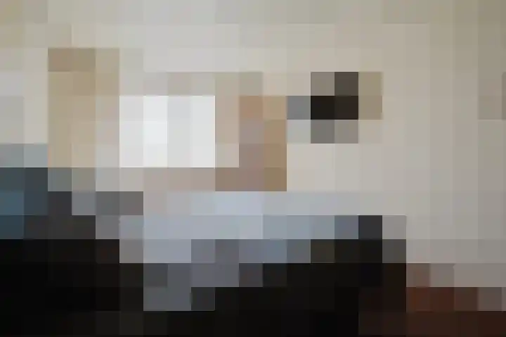 Dallelaan 2 Spijkenisse thumbnail 4
