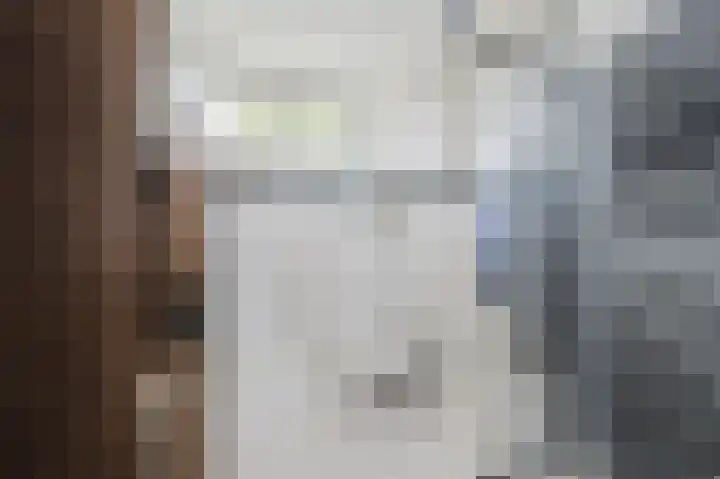 Dallelaan 2 Spijkenisse thumbnail 5